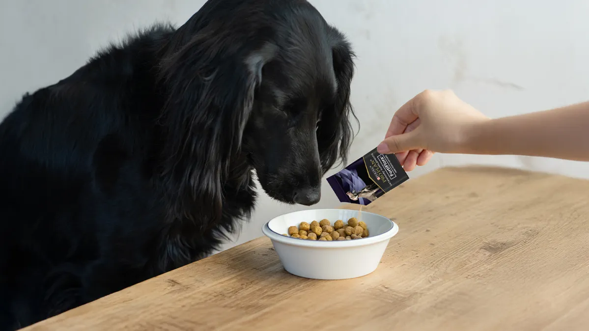 ピュリナ プロプラン ベテリナリーダイエット 犬用サプリメント